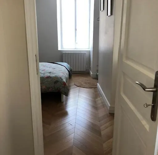 Le Bellifontain Proche Chateau - Insead - Grand Parquet Apartment *